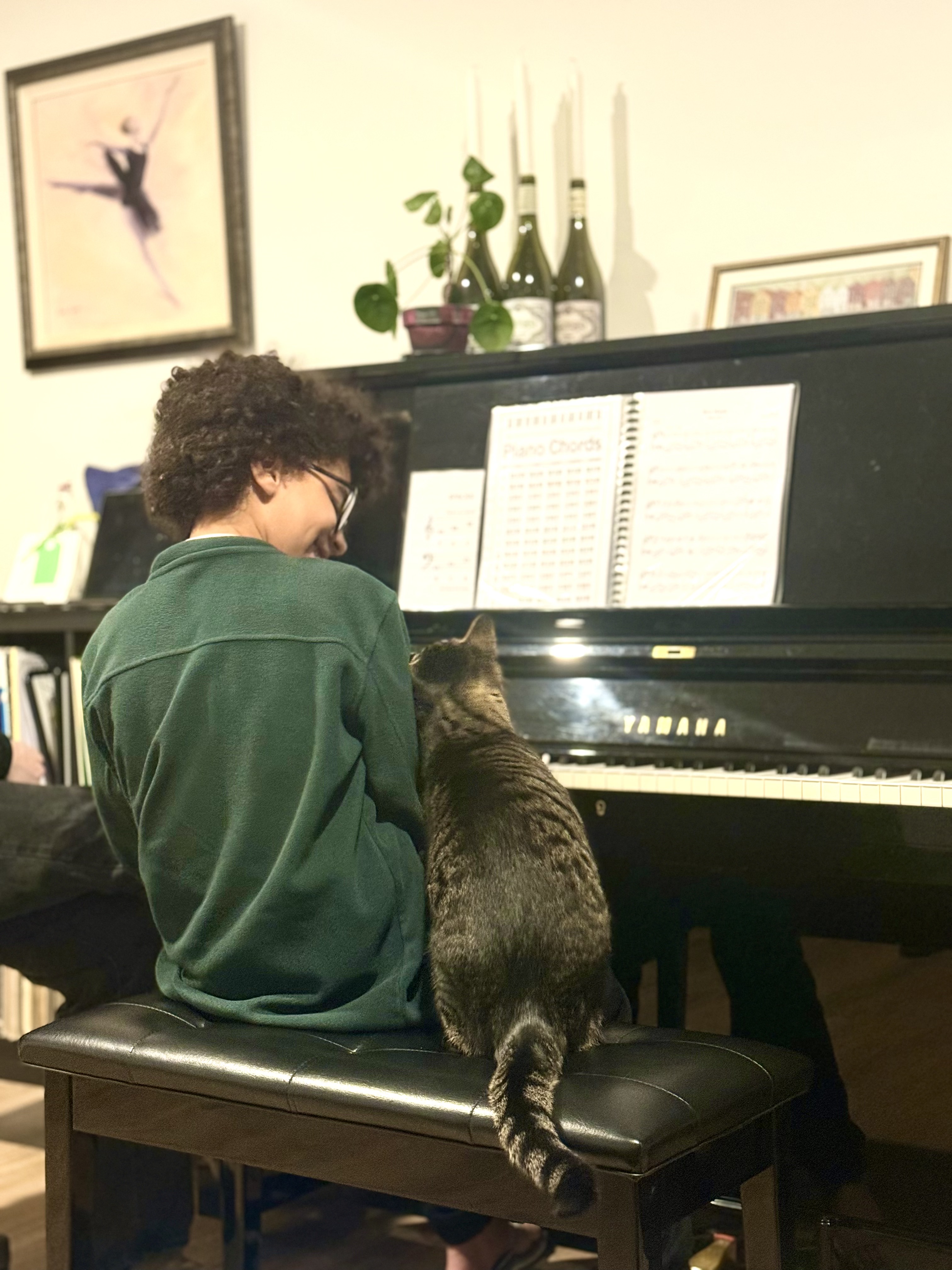 Studio cat